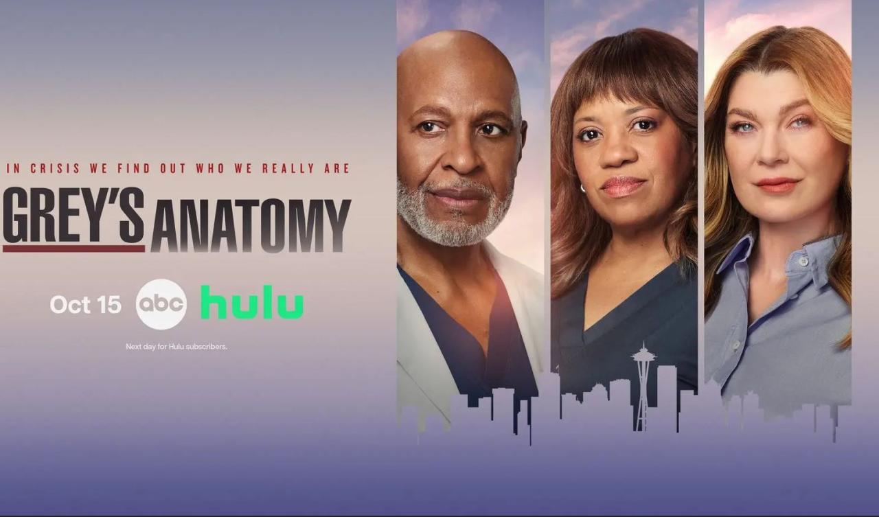 مسلسل Grey’s Anatomy الموسم 23 مترجم